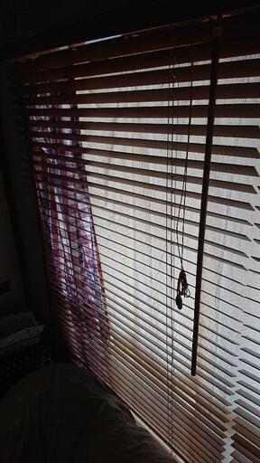 ニトリ木製ブラインド くぼたん 宇宿の家具の中古あげます 譲ります ジモティーで不用品の処分 ニトリ木製ブラインド くぼたん 宇宿の家具の中古あげます 譲ります ジモティーで不用品の処分