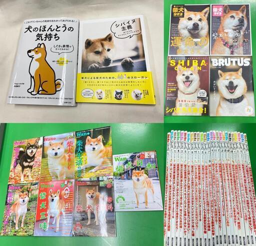 【値下げ】柴犬ライフ　シーバ 犬のほんとうの気持ち  シバイヌ主義
