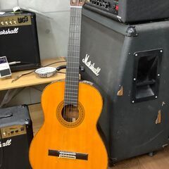 【MORRIS M-25】クラシックギター販売中！