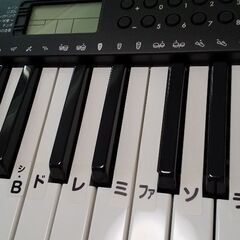 【中高年初心者向け】たの弾くピアノ
