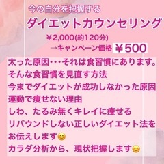 11・12月限定☆ワンコイン♪ダイエットカウンセリン - 倉敷市