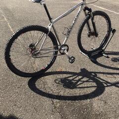 REDLINE レッドライン　MTB ベルトドライブ　19インチ(Lサイズ)　シングルスピード