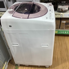 SHARP(シャープ)の全自動洗濯機を紹介します！！トレジャー