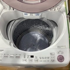 SHARP(シャープ)の全自動洗濯機を紹介します！！トレジャー