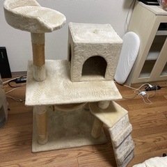 猫タワーネコタワー