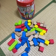 Hape 積み木 50ピース　ブロック　知育玩具