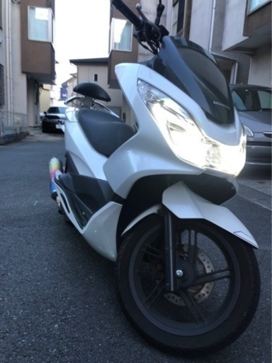 pcx125 jf56 日曜日まで！