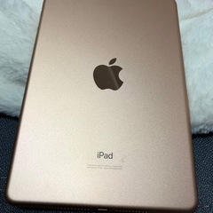 iPad mini5(64g.WiFi)Apple Pencilセット