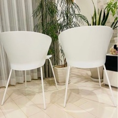 Calligaris カリガリス チェアP4655 ホワイト BAHIA Calligaris カリガリス チェアP4655 ホワイト BAHIA