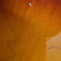 Gibson Les Paul traditional