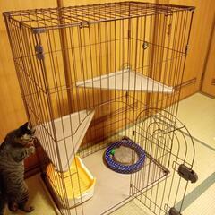ブティック キャットケージ 状態よし 完成品【引き取り 大阪