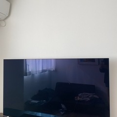 2021年　2月購入　美品　LG 有機ELテレビ　65インチ　