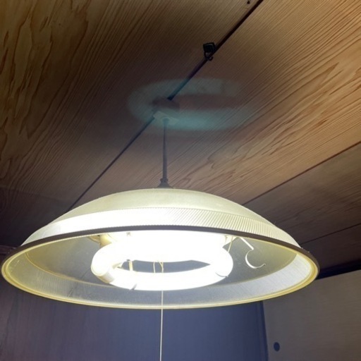 電気