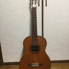 東海楽器製造株式会社 水仙 クラシックギター 75号