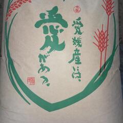 新もち米　玄米　10キロ　3000円
