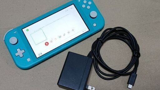 任天堂スイッチライト　プロコン？おまけ付き