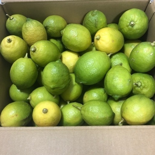 無農薬レモン みぐめちゃん 名鉄岐阜の家具の中古あげます 譲ります ジモティーで不用品の処分