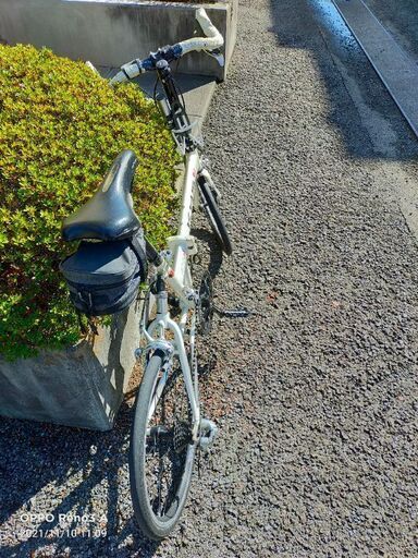 百瀬りえ ヤングジャンプ 直筆サイン入りチェキ（ヤングマガジン