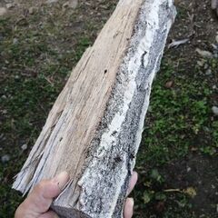 薪(広葉樹&針葉樹)35cm