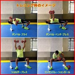 状態良好 IROTEC/アイロテック フラットベンチEX+アイアンダンベル60KGセット(片手30KG×2個)◆5kg×8/2.5kg×4/1.25kg×4/シャフトx2本 手渡し希望/自社配送可能（配送エリアについてお問い合わせください