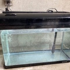 NISSO 60cmガラス水槽