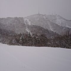 一緒にスキーを楽しみましょう！