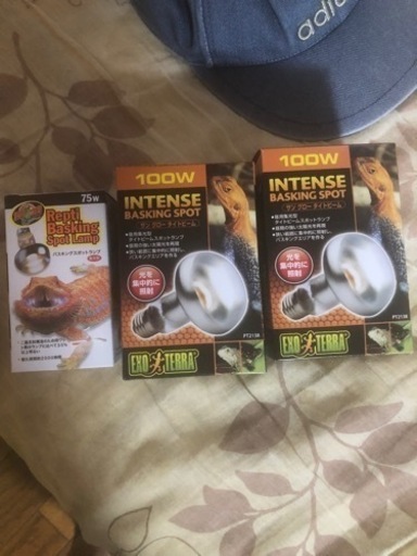 フトアゴヒゲトカゲ飼育用品