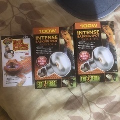 フトアゴヒゲトカゲ飼育用品