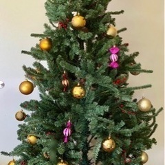 【ネット決済】Francfranc クリスマスツリー　180cm