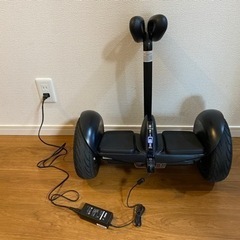 【ネット決済・配送可】セグウェイ Segway ナインボット n...