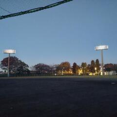 第9回〜13回、早朝野球練習会。調布市民球場。6~8