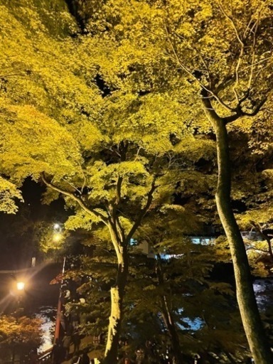 暇な時に会って話せる人居ないかな ケンタ 岡崎の友達のメンバー募集 無料掲載の掲示板 ジモティー