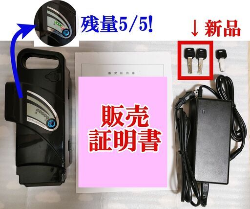 積載最強！折り畳み電動アシスト自転車 TDN-208L