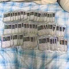中古レックウザが無料 格安で買える ジモティー