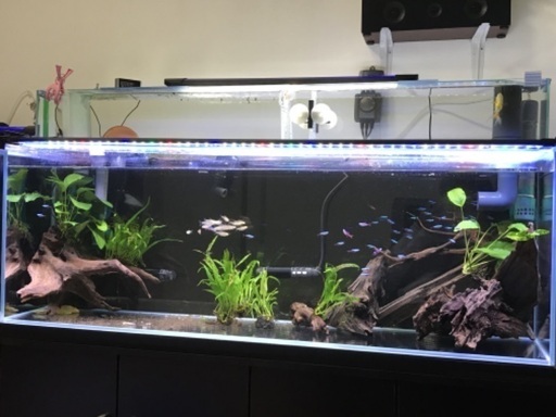 【再投稿】中古 120cm オールガラス 水槽 水槽のみ 熱帯魚 大型魚