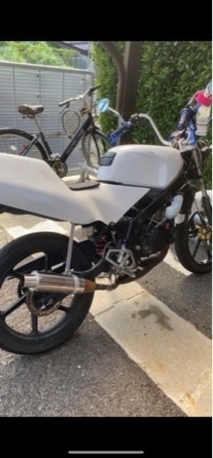 NSｰ1  フルカスタム 最終値下げ