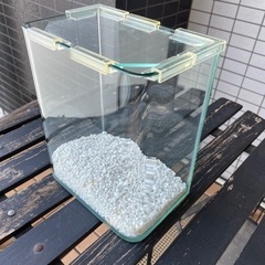 【11/24まで！】ガラス水槽 アクアリウム