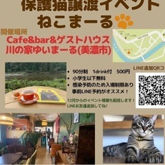 猫の譲渡会と猫カフェの画像