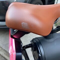 COSWHEEL スマートEV【電動バイク・自転車・ハイブリットの3WAY乗り】マットブラック