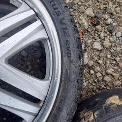 ヴィエナ　ノーブル　19インチ