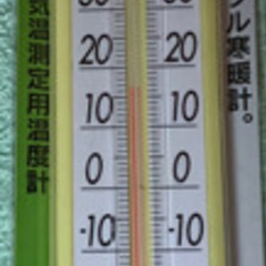 温度計(決まりました)