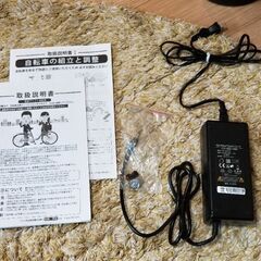 20インチ電動アシスト折りたたみ自転車