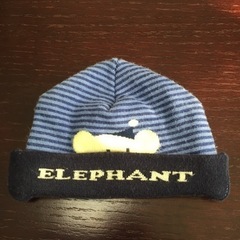 【272】ELEPHANT ゾウ ニット帽