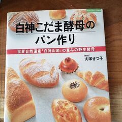 白神こだま酵母のパン作り