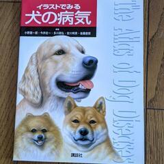 イラストで見る犬の病気