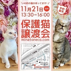【11/21 東京･芝浦】保護猫の譲渡会