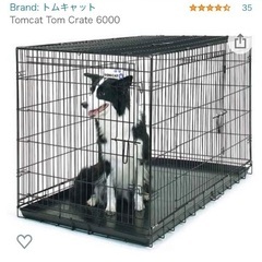 大型犬用ケージの中古が安い！激安で譲ります・無料であげます(2ページ  