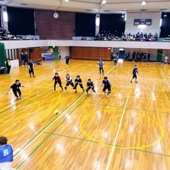 🌟公式ドッジボール中学生以上の男女メンバー募集🌟 - 川崎市