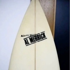 アルメリック　フライヤー