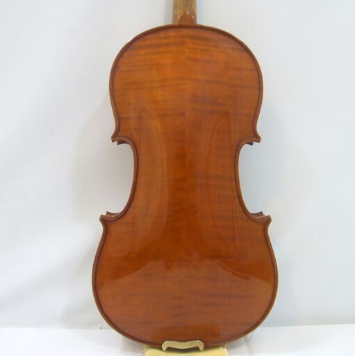 slide_8708violin__3_.jpg 